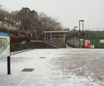島原総合運動公園 テニスコート