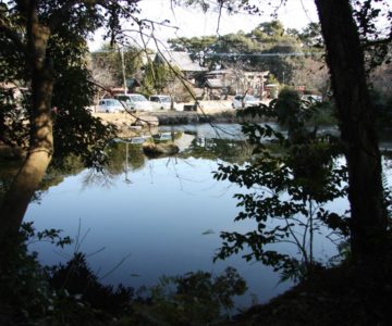 霊丘公園 池