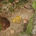 岩戸水神 ハート形の石