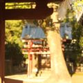 八幡神社 稲荷神社