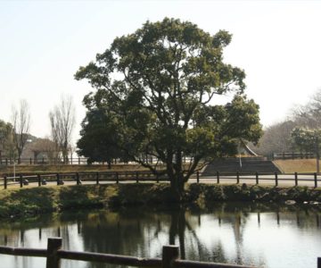 ひょうたん池公園