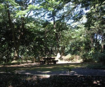 ひょうたん池公園　自然散策広場