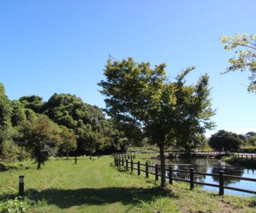 ひょうたん池公園　水と緑の広場