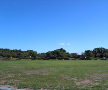 ひょうたん池公園　多目的芝生広場
