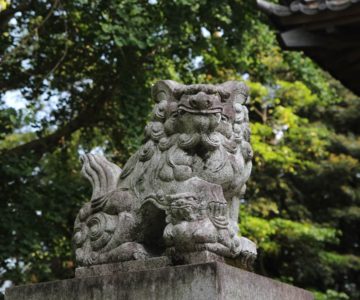温泉神社　狛犬