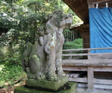温泉熊野神社　狛犬