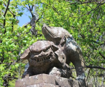 高城神社　狛犬