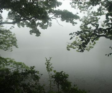 白雲の池