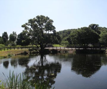 ひょうたん池公園
