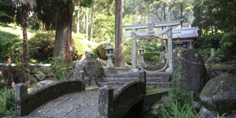 八坂神社　鳥居と茅の輪