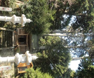 鳥兎神社　拝殿
