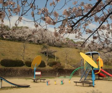 ロケット公園　桜