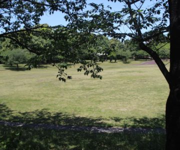 ひょうたん池公園　多目的芝生広場