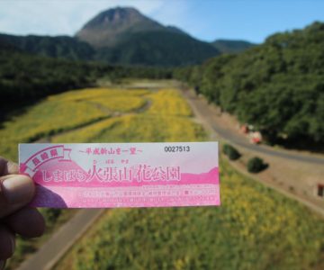 しまばら火張山花公園 秋桜まつり 2021