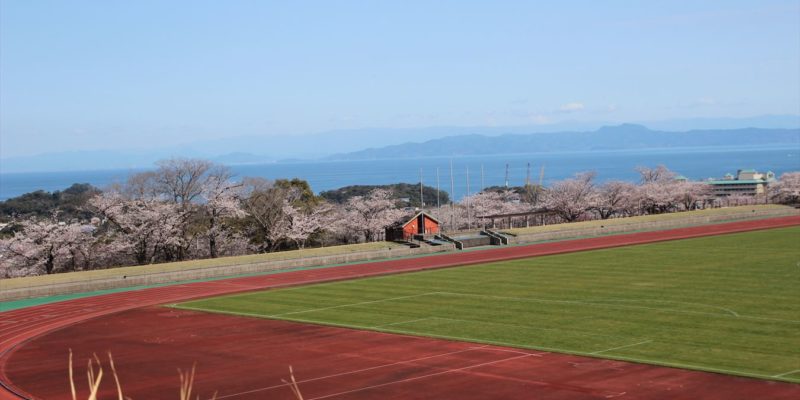 島原陸上競技場 桜