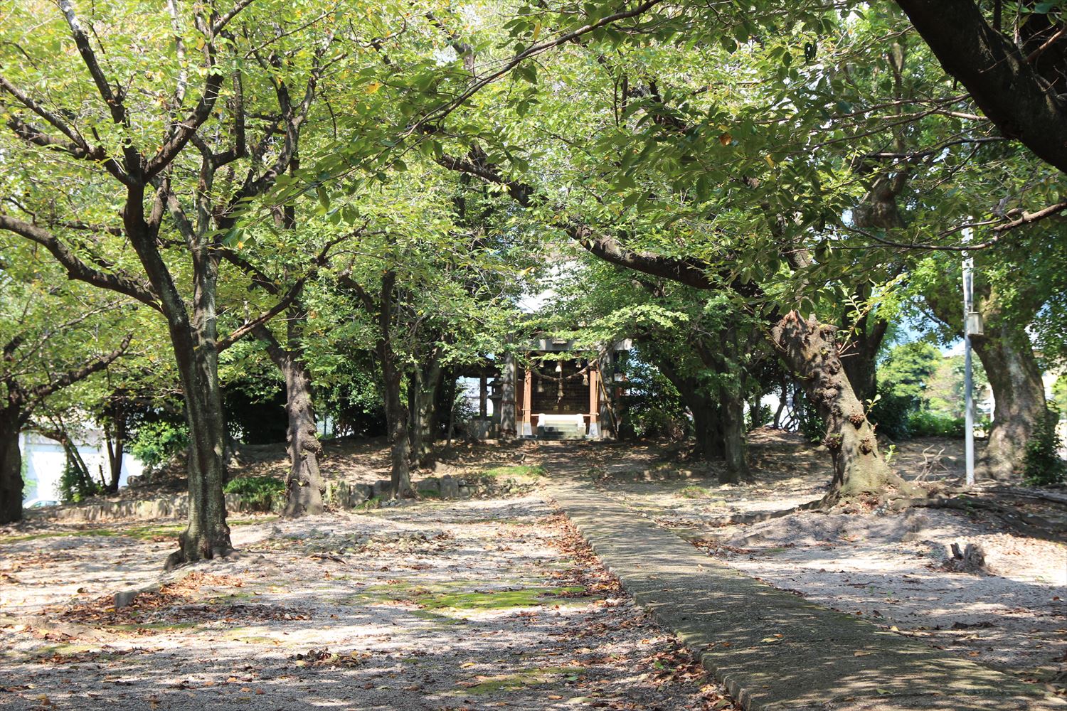 熊野神社　参道