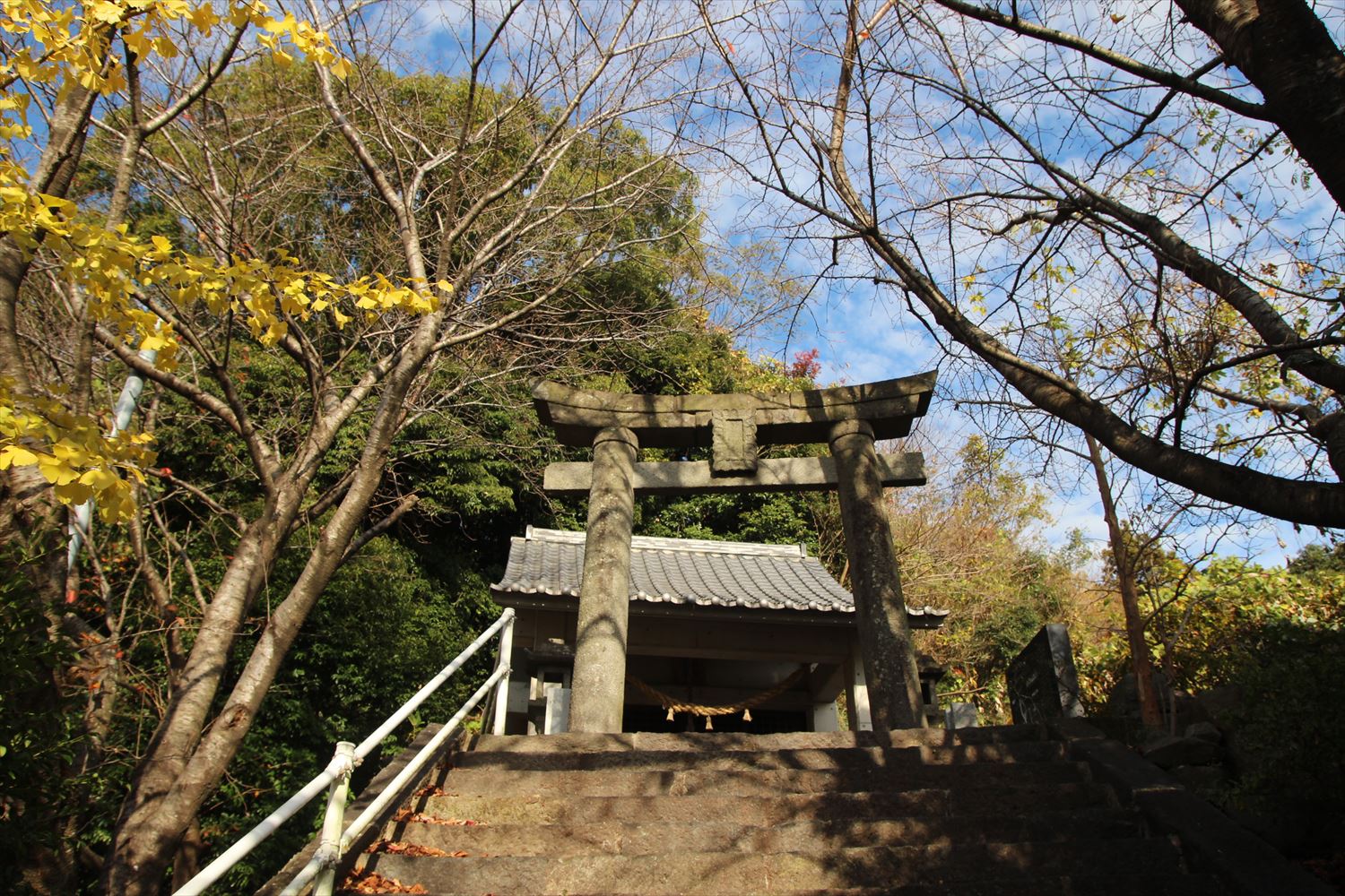 折橋神社　鳥居