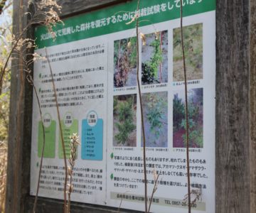 植栽試験　垂木台地森林公園　研究ゾーン