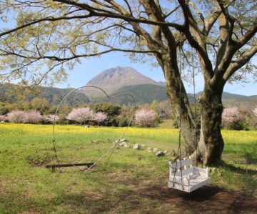しまばら火張山花公園 春の花まつり