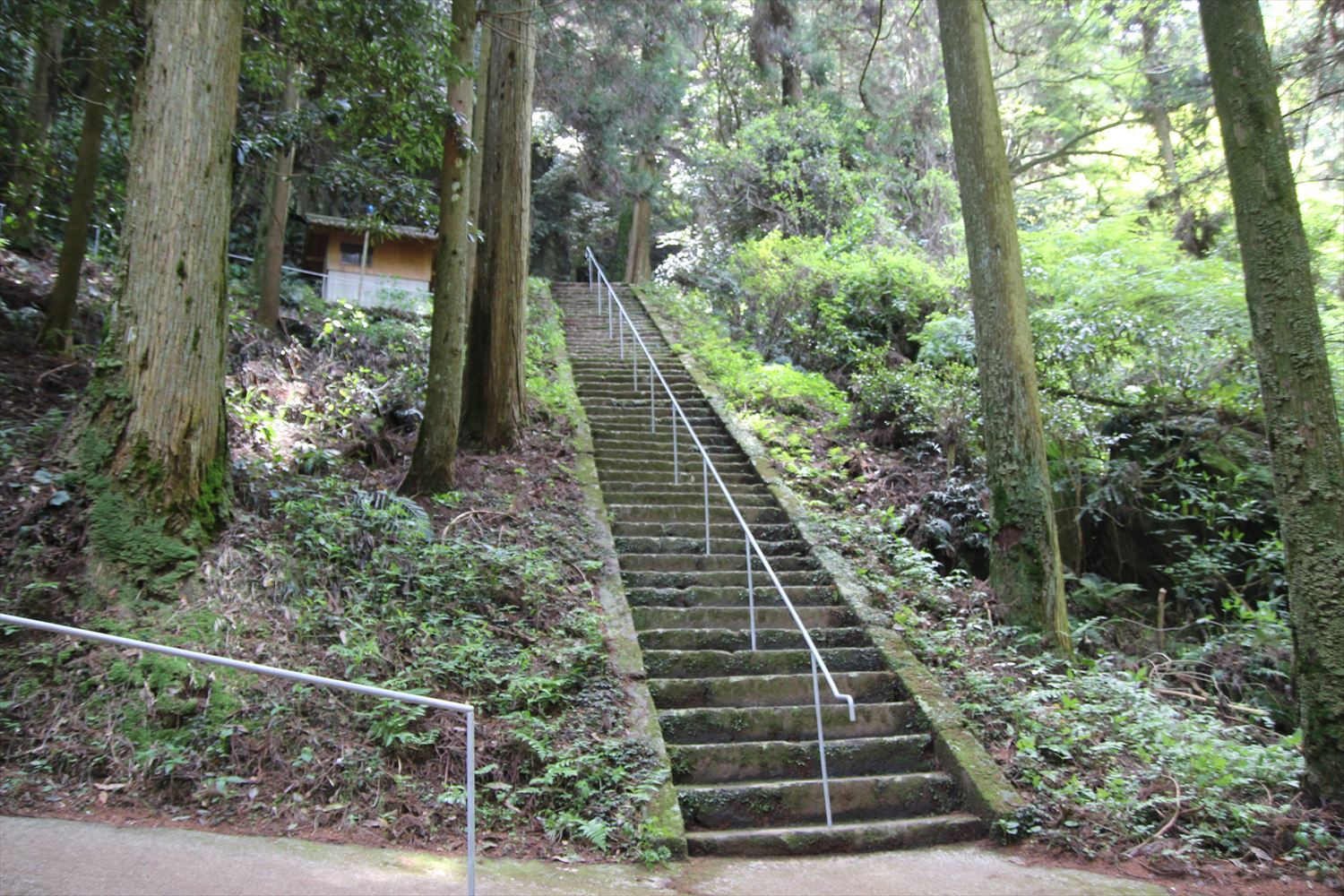岩戸神社　石段
