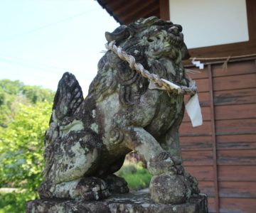志賀神社　狛犬