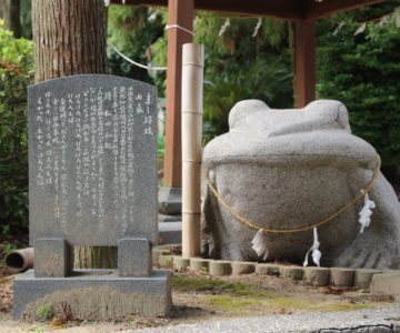 温泉熊野神社　まー坊蛙