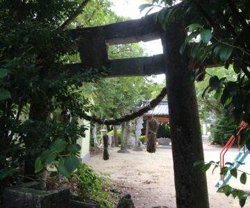 温泉熊野神社　鳥居