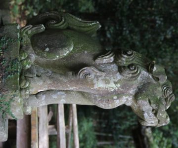 温泉熊野神社　狛犬