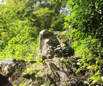 岩下神社　石像