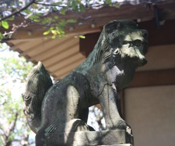 琴平神社（金刀比羅神社）　狛犬