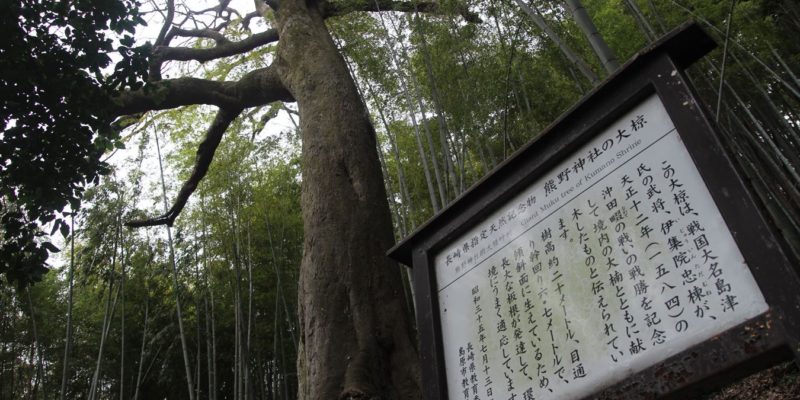 温泉熊野神社