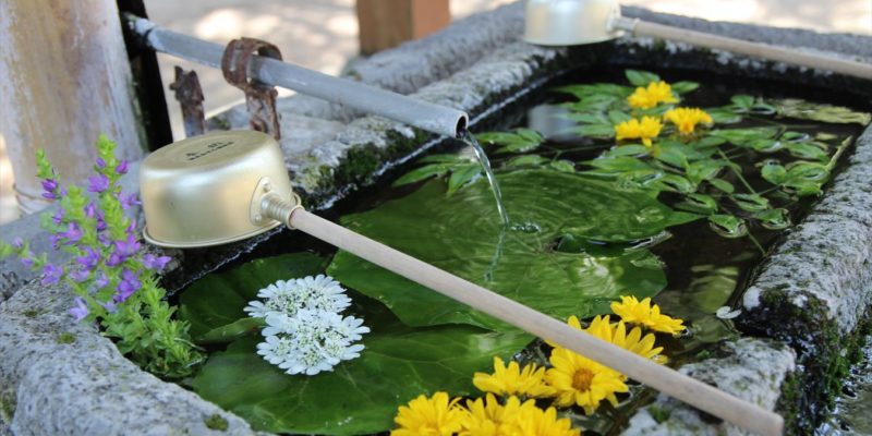 温泉熊野神社　手水鉢